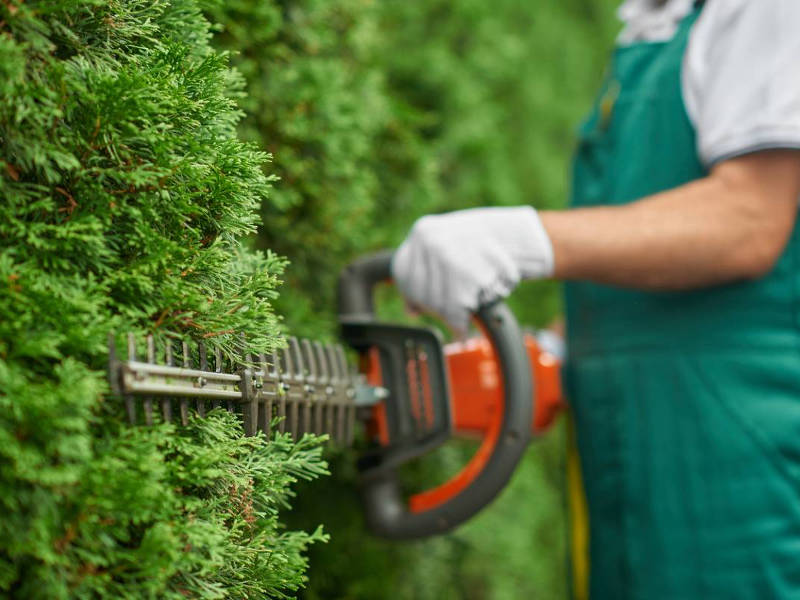 Quels outils choisir pour faciliter l’entretien d’un jardin ?